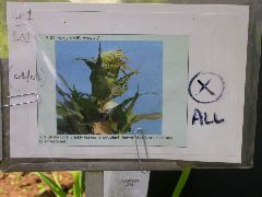 1591_cr1_301A_3048