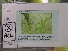 1594_g2_303F_4062