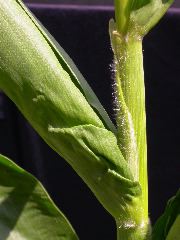 1591_cr1_301A_3054