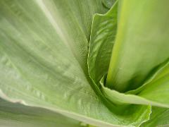 1610_Ts5_402A_1479