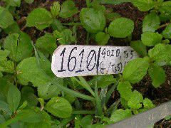 1610_ts5_402D_3018
