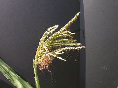 1610_ts5_402D_3021