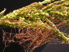 1610_ts5_402D_3024