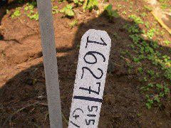 1627_vp2_515A_2654