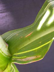 1670_j1_810B_4124