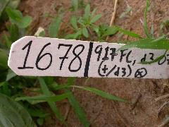 1678_d3_917FC_1970