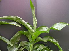 1678_d3_917FC_1983