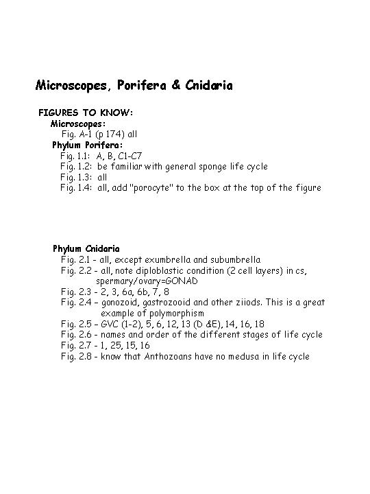 cnidaria examples list cnidaria