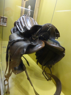 saddle