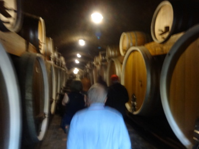 cellar