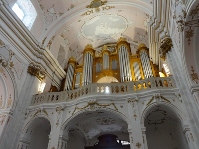 organ