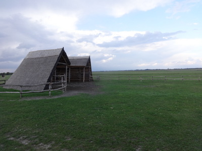 sheds