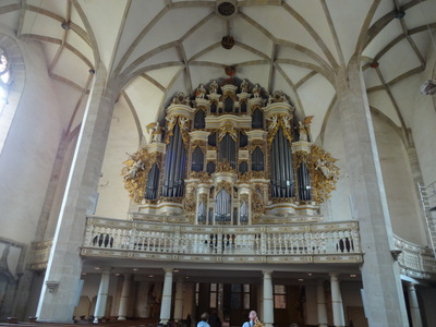 organ